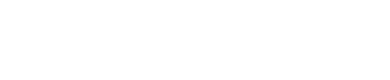 Virtuzone